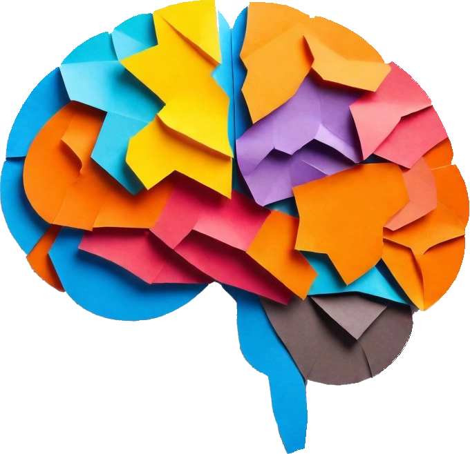 ARNo Neurologia